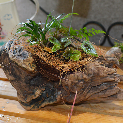 流木アレンジ
