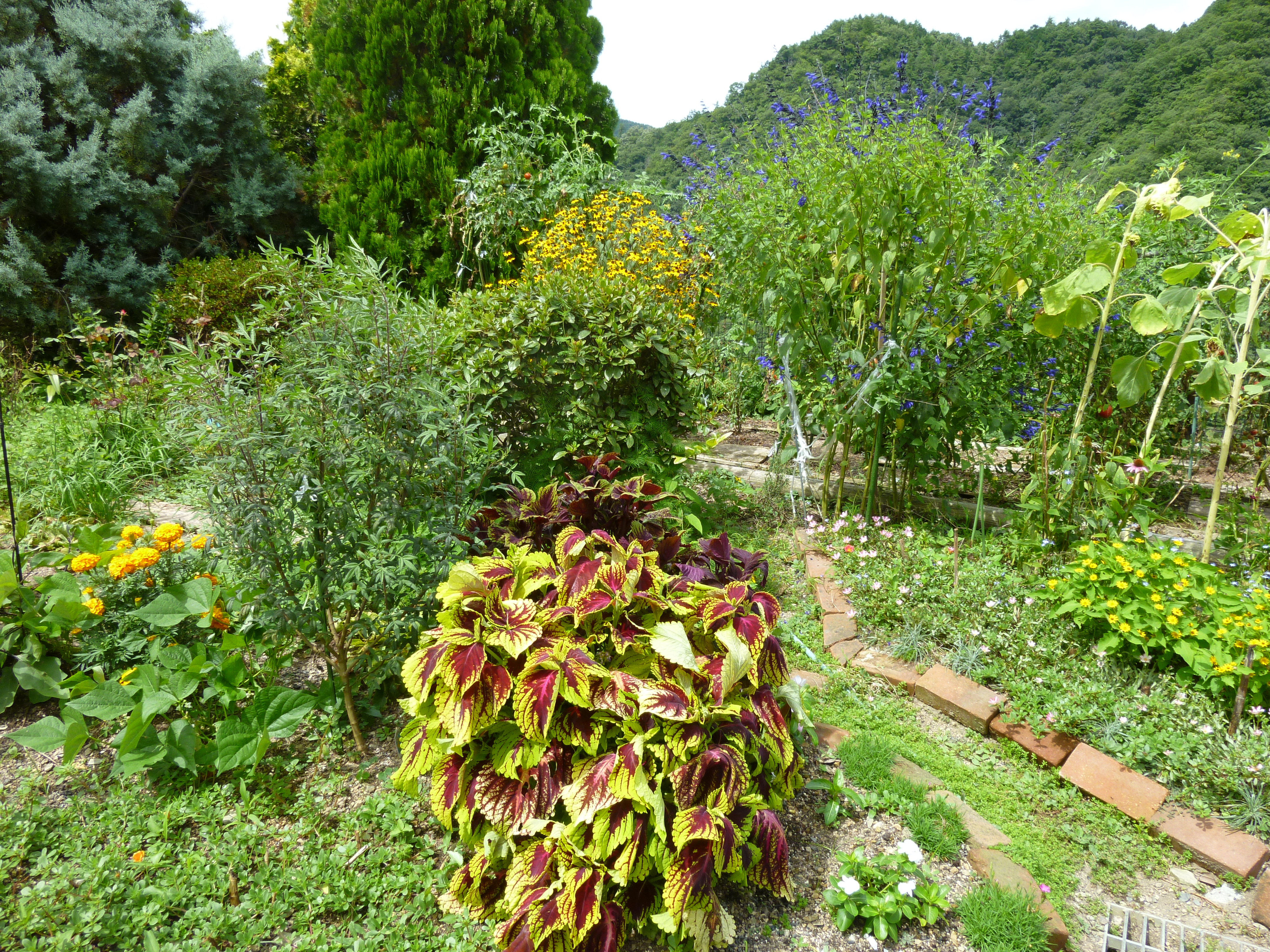 メインイメージ